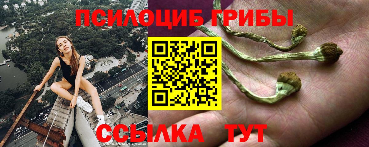 Псилоцибиновые грибы мицелий Архангельск